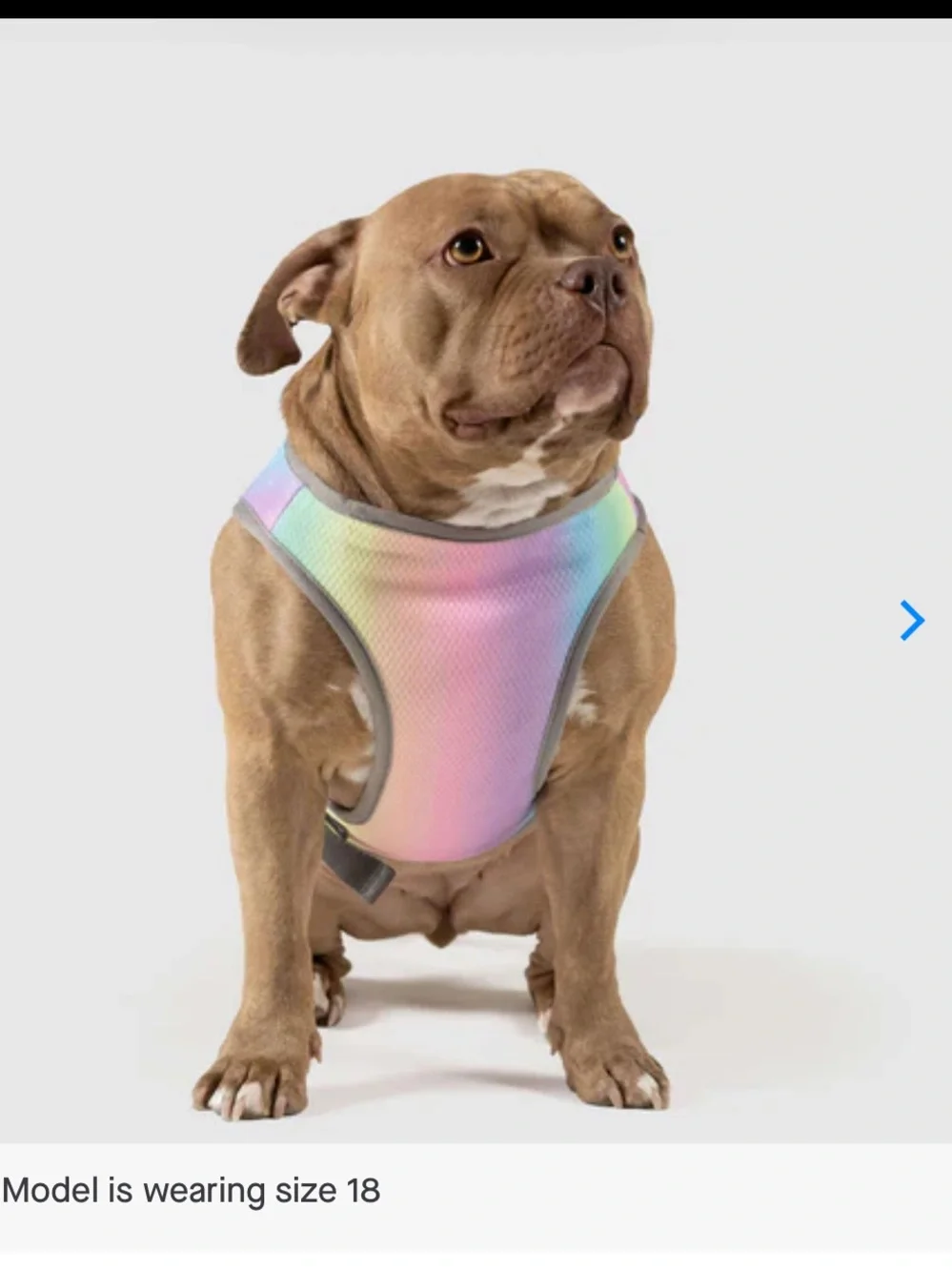 Canada Pooch Chill Seeker Pastel Rainbow Cooling Dog Vest size 16